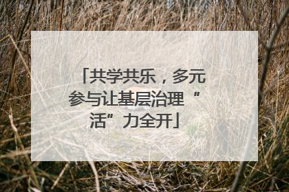 共学共乐，多元参与让基层治理“活”力全开